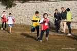 IMG_5462.jpg