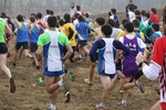 IMG_6654_1024x683.jpg