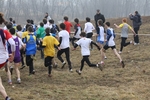IMG_6655_1024x683.jpg