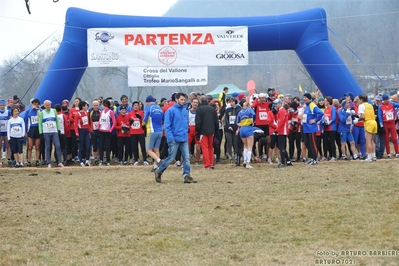 Clicca per vedere l'immagine alla massima grandezza