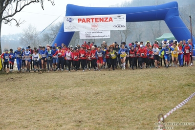 Clicca per vedere l'immagine alla massima grandezza