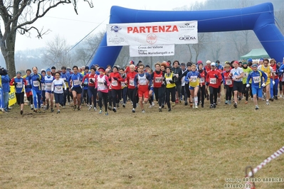 Clicca per vedere l'immagine alla massima grandezza