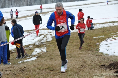 Clicca per vedere l'immagine alla massima grandezza