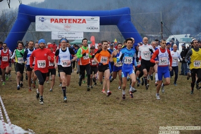 Clicca per vedere l'immagine alla massima grandezza