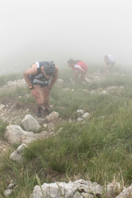 Clicca per vedere l'immagine alla massima grandezza