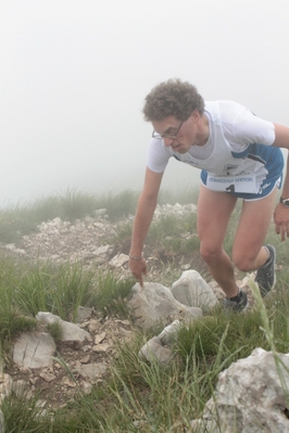 Clicca per vedere l'immagine alla massima grandezza