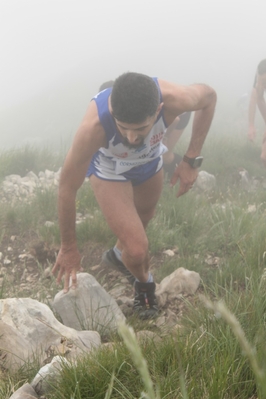 Clicca per vedere l'immagine alla massima grandezza
