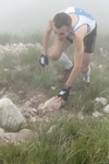 20120513_CORNIZZOLOVERTICAL_320.jpg