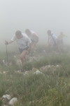 20120513_CORNIZZOLOVERTICAL_346.jpg