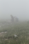 20120513_CORNIZZOLOVERTICAL_375.jpg