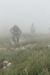 20120513_CORNIZZOLOVERTICAL_393.jpg