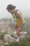 20120513_CORNIZZOLOVERTICAL_400.jpg