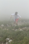 20120513_CORNIZZOLOVERTICAL_413.jpg