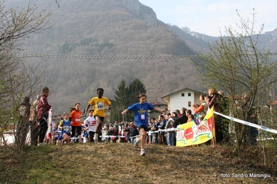 Clicca per vedere l'immagine alla massima grandezza