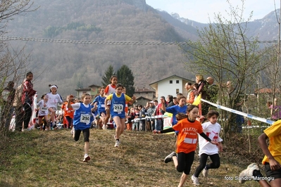 Clicca per vedere l'immagine alla massima grandezza