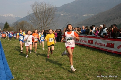 Clicca per vedere l'immagine alla massima grandezza