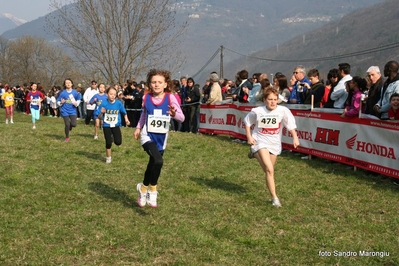 Clicca per vedere l'immagine alla massima grandezza