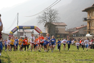 Clicca per vedere l'immagine alla massima grandezza