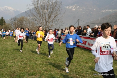 Clicca per vedere l'immagine alla massima grandezza