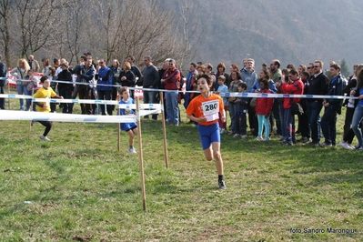 Clicca per vedere l'immagine alla massima grandezza