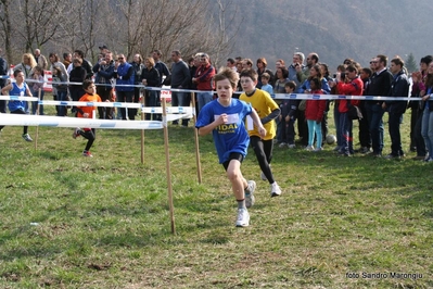 Clicca per vedere l'immagine alla massima grandezza