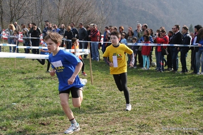 Clicca per vedere l'immagine alla massima grandezza