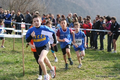 Clicca per vedere l'immagine alla massima grandezza