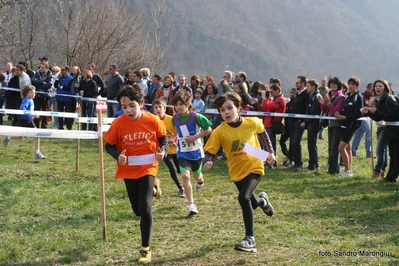 Clicca per vedere l'immagine alla massima grandezza