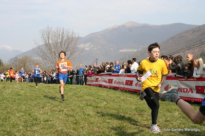 Clicca per vedere l'immagine alla massima grandezza