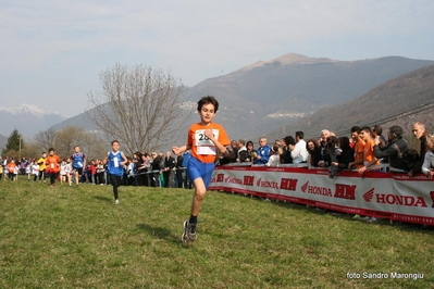 Clicca per vedere l'immagine alla massima grandezza