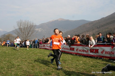 Clicca per vedere l'immagine alla massima grandezza