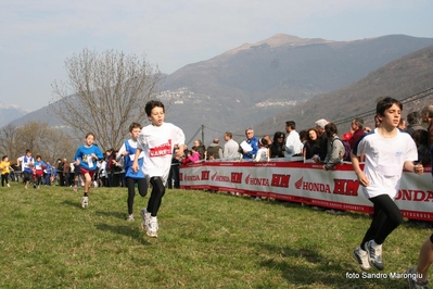 Clicca per vedere l'immagine alla massima grandezza