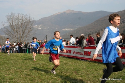 Clicca per vedere l'immagine alla massima grandezza
