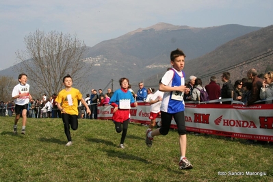 Clicca per vedere l'immagine alla massima grandezza