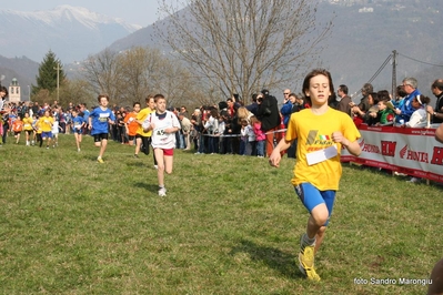 Clicca per vedere l'immagine alla massima grandezza