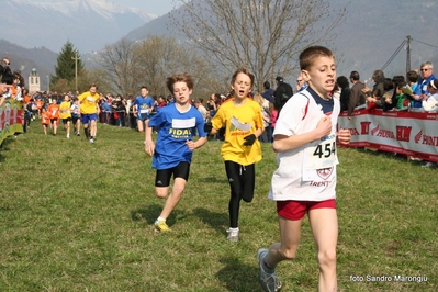 Clicca per vedere l'immagine alla massima grandezza