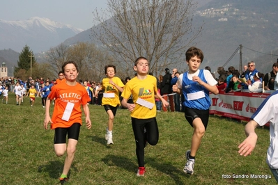 Clicca per vedere l'immagine alla massima grandezza