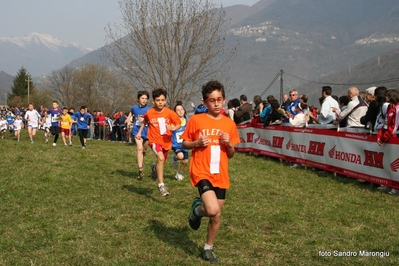 Clicca per vedere l'immagine alla massima grandezza