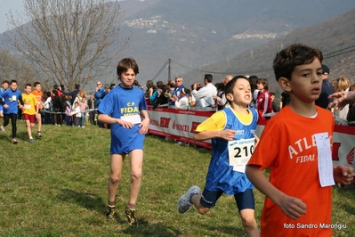 Clicca per vedere l'immagine alla massima grandezza
