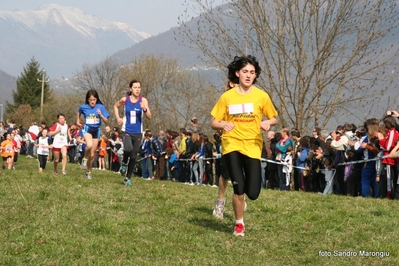 Clicca per vedere l'immagine alla massima grandezza