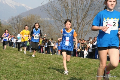 Clicca per vedere l'immagine alla massima grandezza