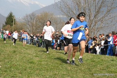 Clicca per vedere l'immagine alla massima grandezza