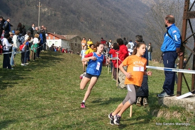 Clicca per vedere l'immagine alla massima grandezza
