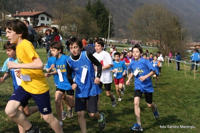 Clicca per vedere l'immagine alla massima grandezza
