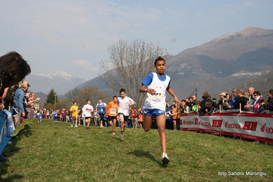 Clicca per vedere l'immagine alla massima grandezza