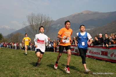 Clicca per vedere l'immagine alla massima grandezza
