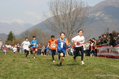 Clicca per vedere l'immagine alla massima grandezza