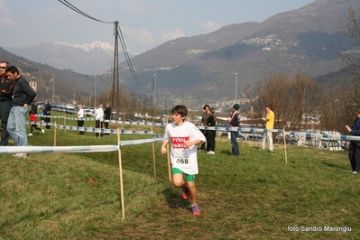 Clicca per vedere l'immagine alla massima grandezza