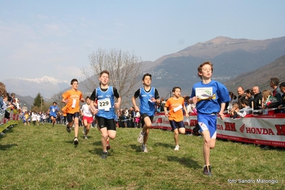 Clicca per vedere l'immagine alla massima grandezza