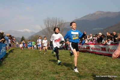 Clicca per vedere l'immagine alla massima grandezza
